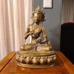 Tara beeld, Ophalen of Verzenden, Gebruikt