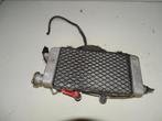 honda varadero xl1000v  sd01  99-02  radiator met schroef, Ophalen of Verzenden, Gebruikt