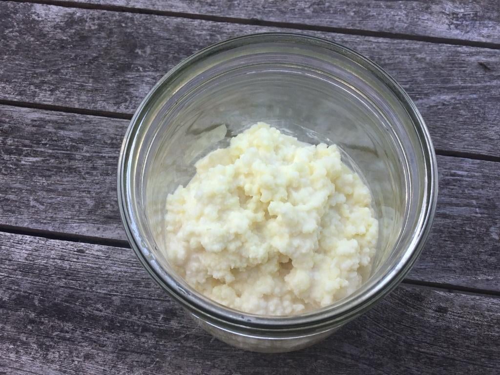 Melk kefir 50g | rauwe melk | Jersey (A2) | alleen verzenden, Diversen, Levensmiddelen, Verzenden