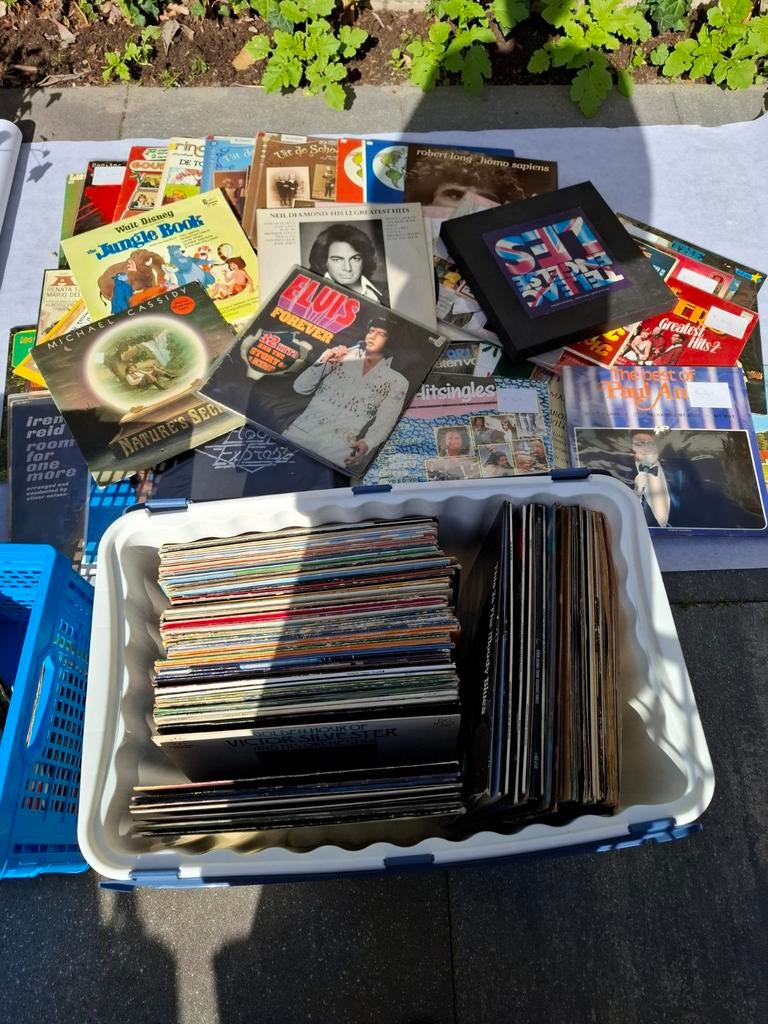 150 lp van alles wat, Ophalen of Verzenden, Gebruikt, Overige formaten