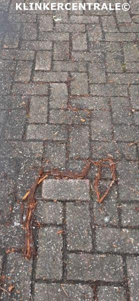 ROOIKORTING 300m2 heide betonklinkers keiformaat bkk bss, Tuin en Terras, Tegels en Klinkers, Bij dit gebruikte product niet meer te achterhalen.