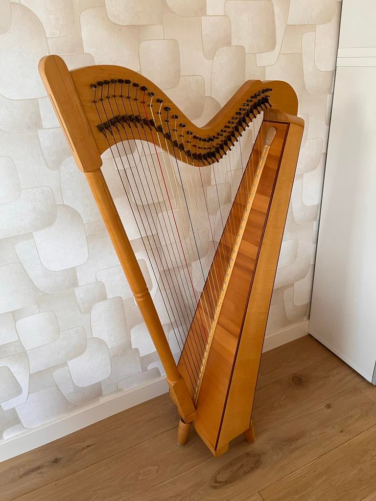 Prachtige Hans den Brok haakjes harp (33 snaren), Ophalen, Gebruikt