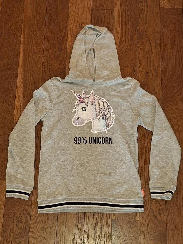 Hoodie unicorn maat 158/164, Kinderen en Baby's, Kinderkleding | Maat 158, Gebruikt, Meisje, Trui of Vest, Ophalen of Verzenden