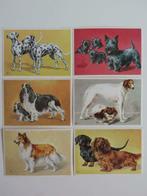 6 ansichtkaarten met honden Kinderzegels 1973 kaarten, Ophalen of Verzenden, 1960 tot 1980, Ongelopen, Hond of Kat