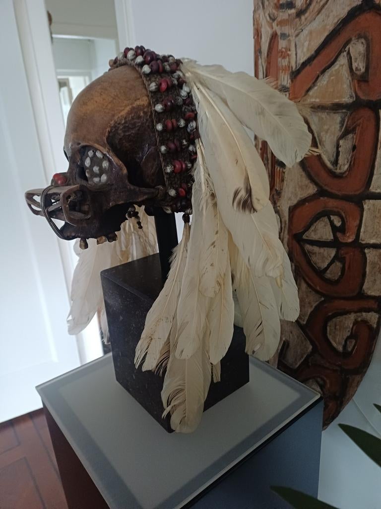 Unieke Asmat schedeldecoratie met veren en kralen, Antiek en Kunst, Ophalen of Verzenden