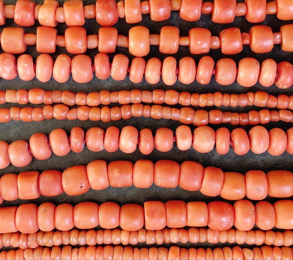 PASEN  AANBIEDING  BLOEDKORAAL  SALE, Ophalen of Verzenden, Zilver, Oorbellen