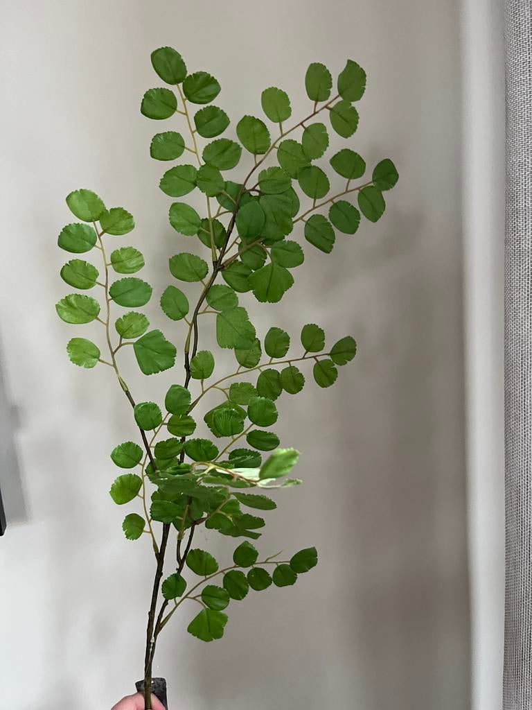 Kunsttak groen, Huis en Inrichting, Woonaccessoires | Kunstplanten en Kunstbloemen, Ophalen of Verzenden, Nieuw