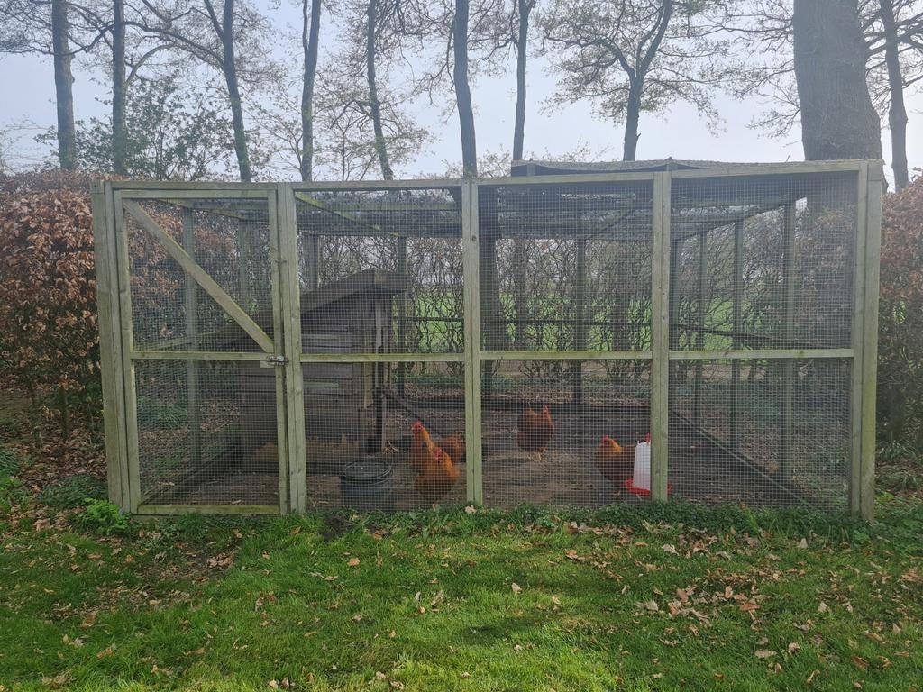 Grote kippenren, Ophalen of Verzenden, Gebruikt, Hout, Overige typen
