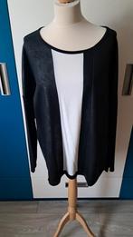 Mooie trui van Sani Blu maat 46 nieuw, Sani Blu, Ophalen of Verzenden, Nieuw, Trui of Vest