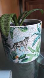 Bloempot met Luipaardprint - Jungle Design, Ophalen of Verzenden