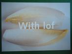 (580) Kaart: WITH LOF, Verzenden, 1980 tot heden, Gelopen, Overige thema's