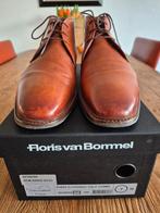 FLORIS VAN BOMMEL Mt 41H Cognac, Ophalen of Verzenden, Zo goed als nieuw, Bruin