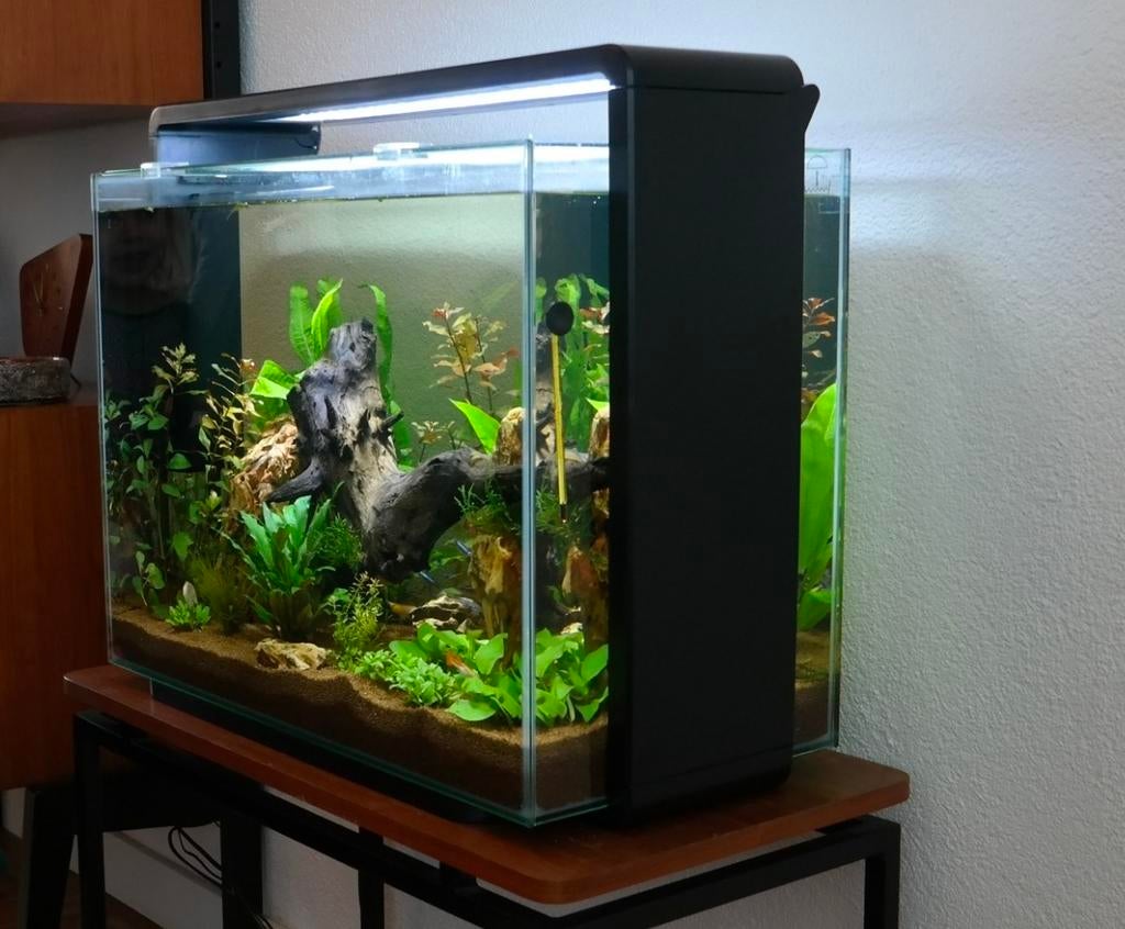 Superfish home 85, Dieren en Toebehoren, Vissen | Aquaria en Toebehoren, Ophalen, Gebruikt, Leeg aquarium, Superfish