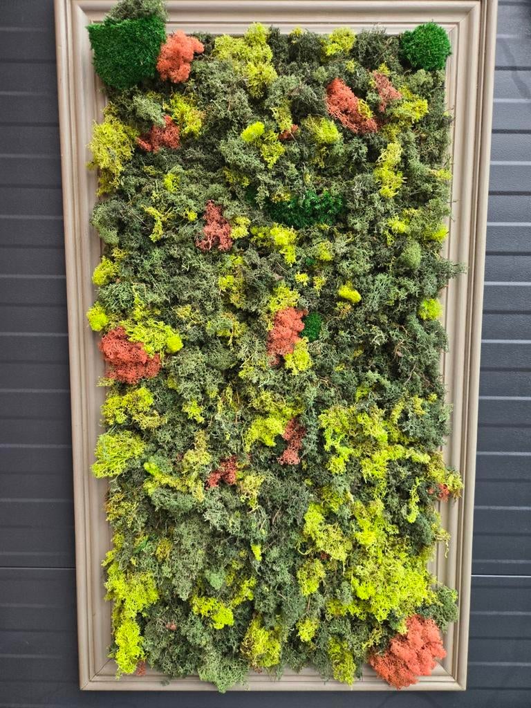 Mooi origineel mos wanddecoratie 0.70 X 1.20, Ophalen of Verzenden, Zo goed als nieuw