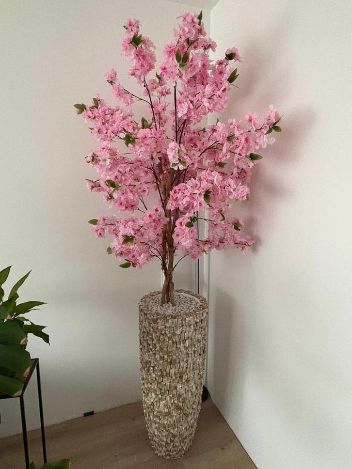 Luxe schelpenvazen met bloesemboom, Huis en Inrichting, Woonaccessoires | Kunstplanten en Kunstbloemen, Zo goed als nieuw, Ophalen of Verzenden