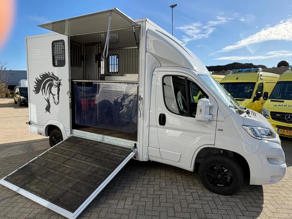 Opel Movano Paardenwagen/Veewagen Hengsten Uitvoering Airco, Dieren en Toebehoren, Paarden en Pony's | Trailers en Aanhangwagens