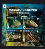 montserrat 2016 pf wwf blok vissen tandbaars zeeleven fishes, Ophalen of Verzenden, Postfris, Dier of Natuur