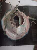 The Facts of Life - Pop-up boek over het menselijk lichaam, Ophalen of Verzenden, Gelezen, Zwangerschap en Bevalling