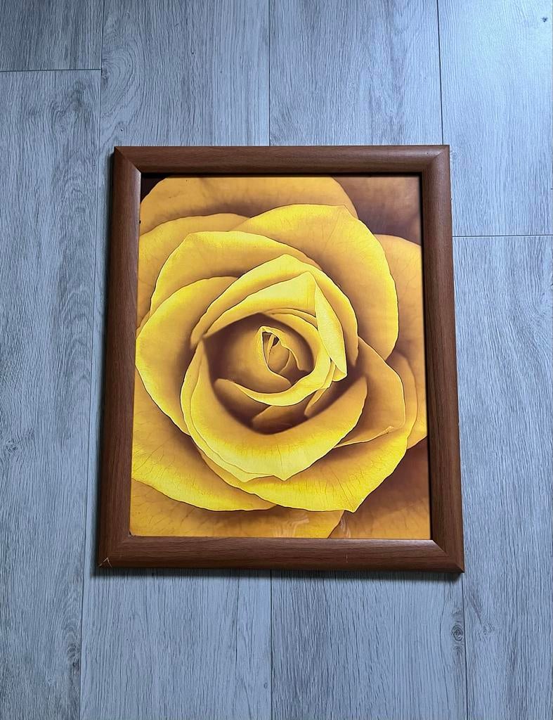 Schilderij Gele Roos in Houten Lijst - Zeer Goede Staat, Ophalen