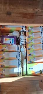 Gloeilampen, Huis en Inrichting, Lampen | Losse lampen, Ophalen of Verzenden, E27 (groot)