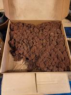 Rendiermos geprepareerd, Hobby en Vrije tijd, Knutselen, Ophalen of Verzenden, Materiaal