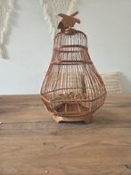 Decoratieve vogelkooi van bamboe, Mannelijk, Zangkanarie