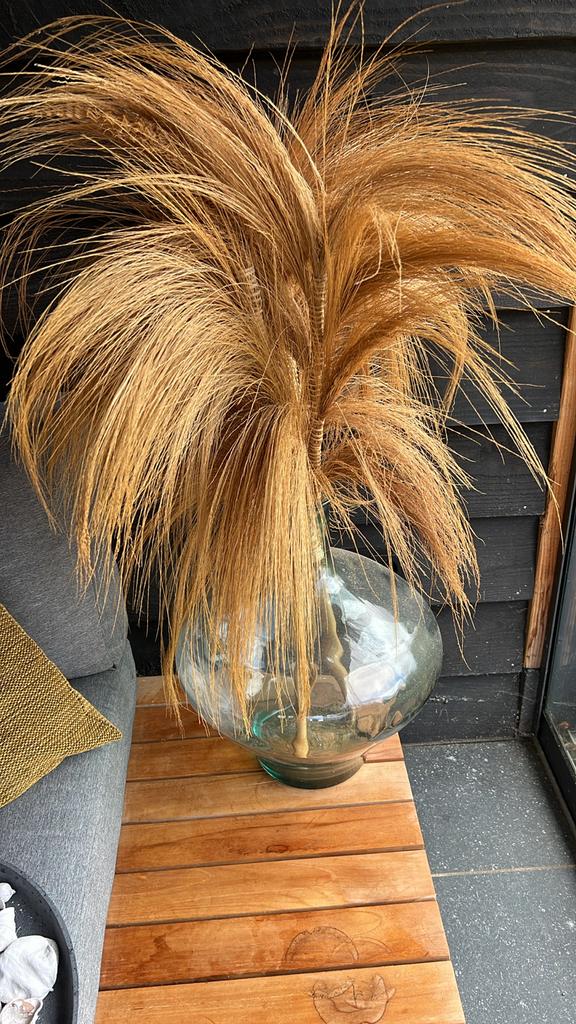 3 Mooie decoratieve pluimen voor in huis, Gebruikt, Boho, Ophalen of Verzenden, Natuurlijk materiaal