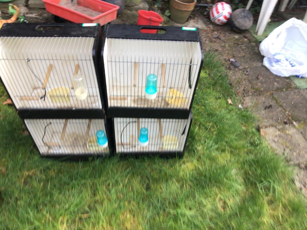 Vogel kooi, Dieren en Toebehoren, Vogels | Hokken en Kooien, Ophalen of Verzenden, Zo goed als nieuw, Hout, Vogelkooi