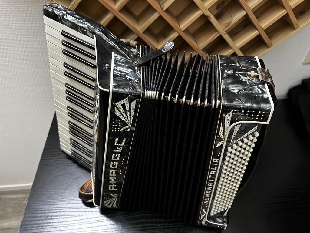 Vintage Italiaanse Pancotti Numana accordeon 120 bas, Muziek en Instrumenten, Accordeons, Overige merken, Gebruikt, Overige formaten