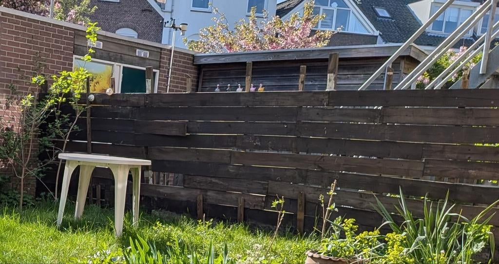 Schutting planken houten, Tuin en Terras, Schuttingen, Ophalen, 6 meter of meer, Hout, 1 tot 2 meter