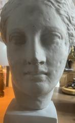Mooi gipsen beeld van een klassieke vrouw, Ophalen