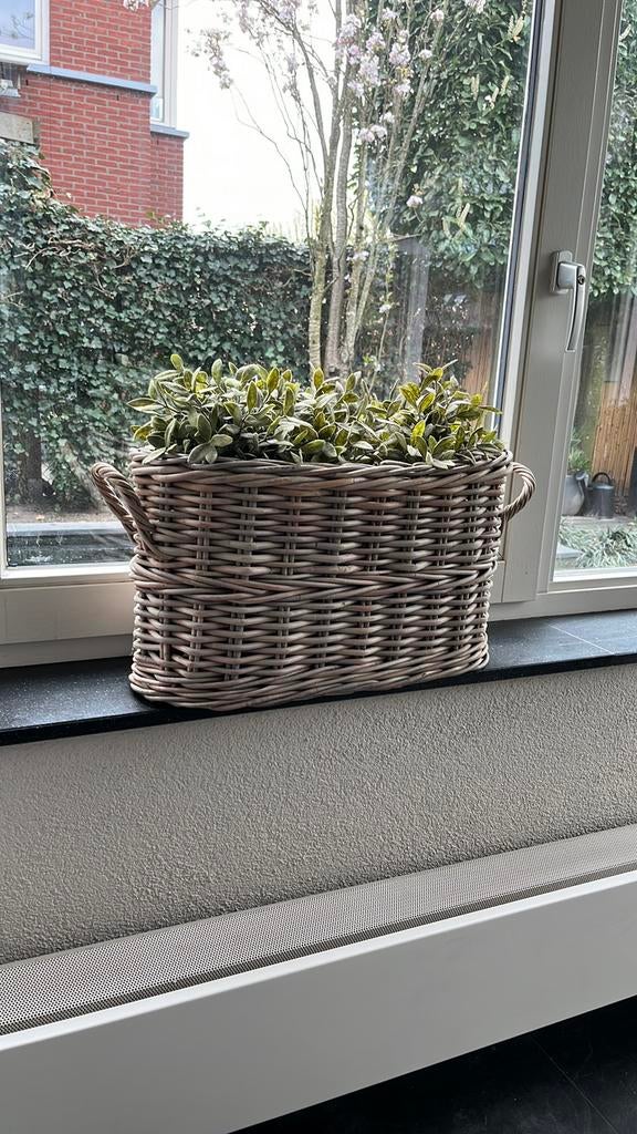 Te koop: 2 manden, Tuin en Terras, Bloembakken en Plantenbakken, Ophalen, Minder dan 30 cm, Rond, Zo goed als nieuw