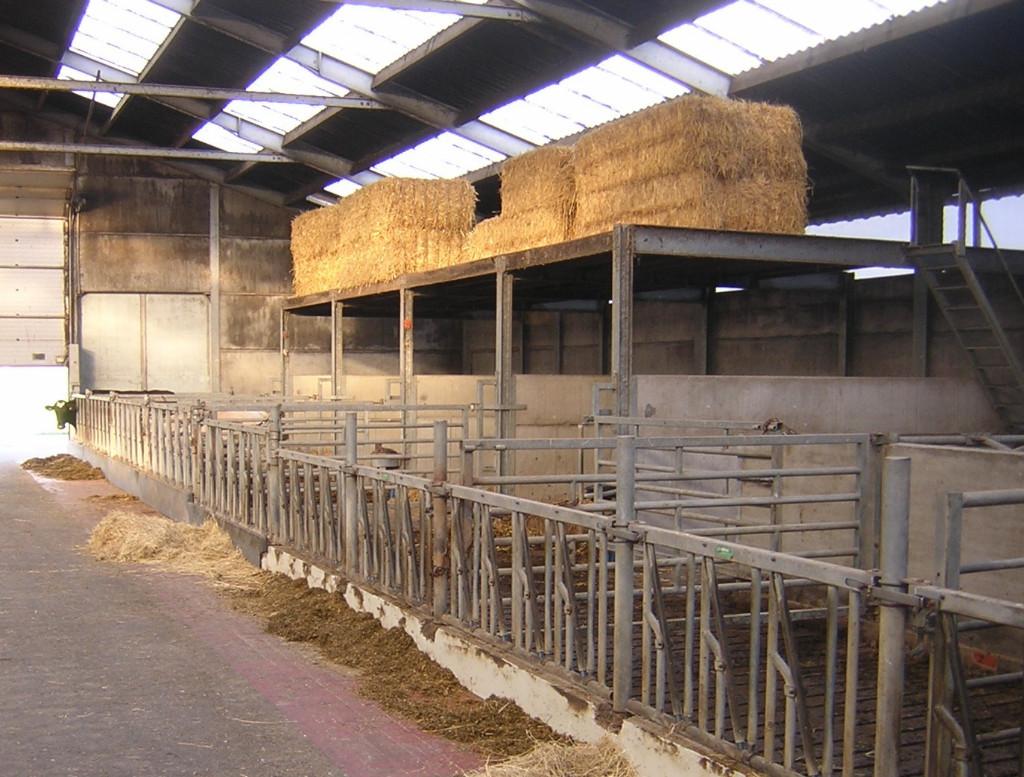 Volledige inrichting melkvee- en jongveestal, Stalling