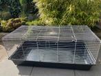 Grote binnen kooi voor cavia’s /konijn 120x59cm +voerbakje, Dieren en Toebehoren, Minder dan 60 cm, Kooi, Ophalen of Verzenden