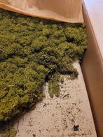 Rendiermos medium green, Hobby en Vrije tijd, Knutselen, Ophalen of Verzenden, Materiaal