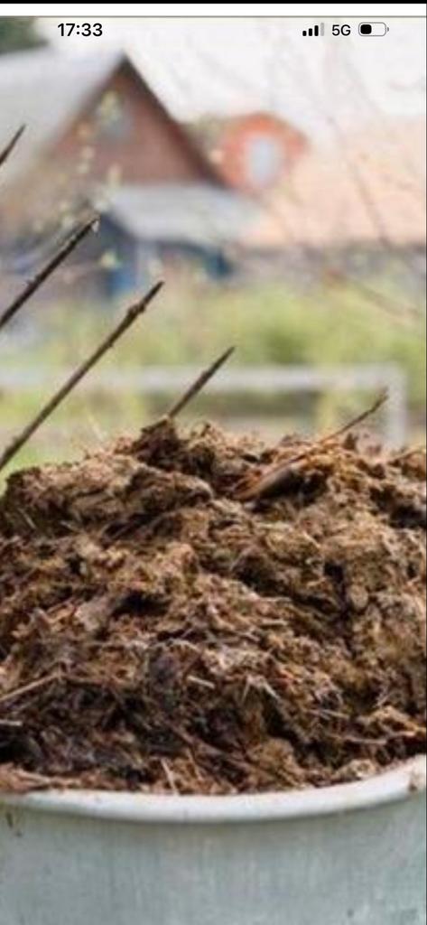 Gratis oude paardenmest (16 m³), Tuin en Terras, Aarde en Mest, Ophalen, Mest