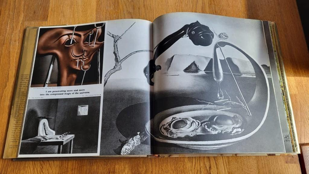 Boeken - Dali, Ophalen of Verzenden, Zo goed als nieuw, Overige onderwerpen