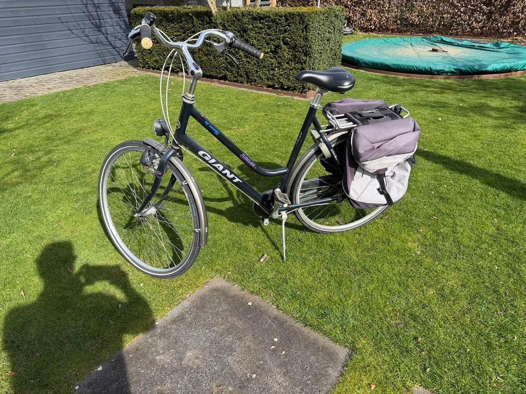 Giant Damesfiets - Frame 60 cm, Ophalen, Gebruikt, Versnellingen, 56 cm of meer