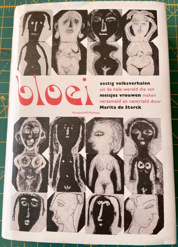 BLOEI, Boeken, Geschiedenis | Wereld, Zo goed als nieuw, Europa, 20e eeuw of later, Ophalen of Verzenden