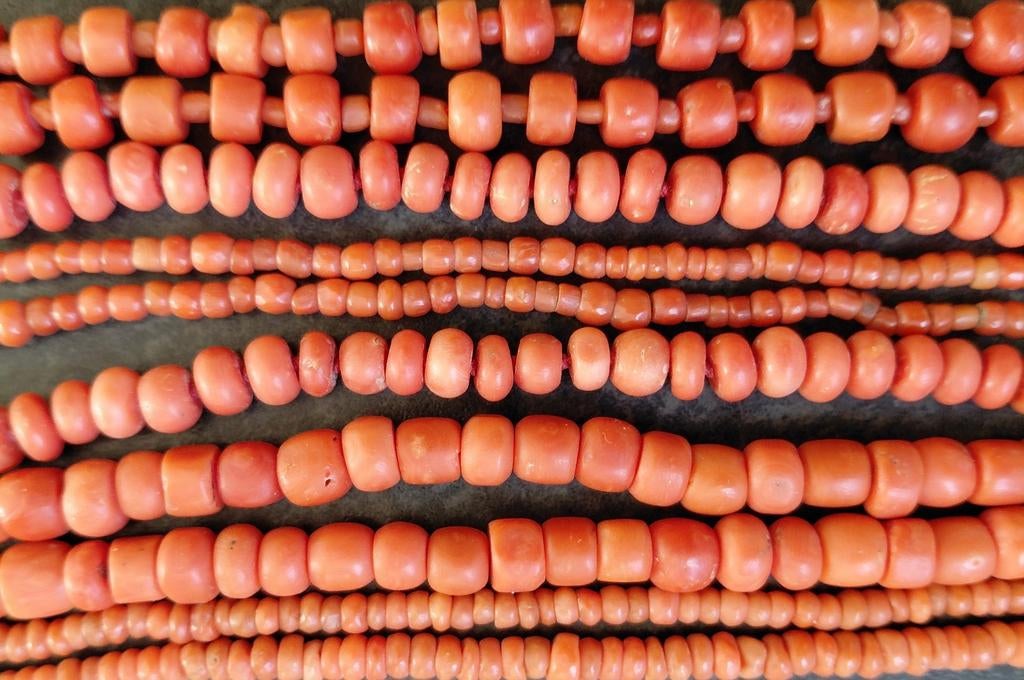 PASEN  AANBIEDING  BLOEDKORAAL  SALE, Ophalen of Verzenden, Zilver, Oorbellen