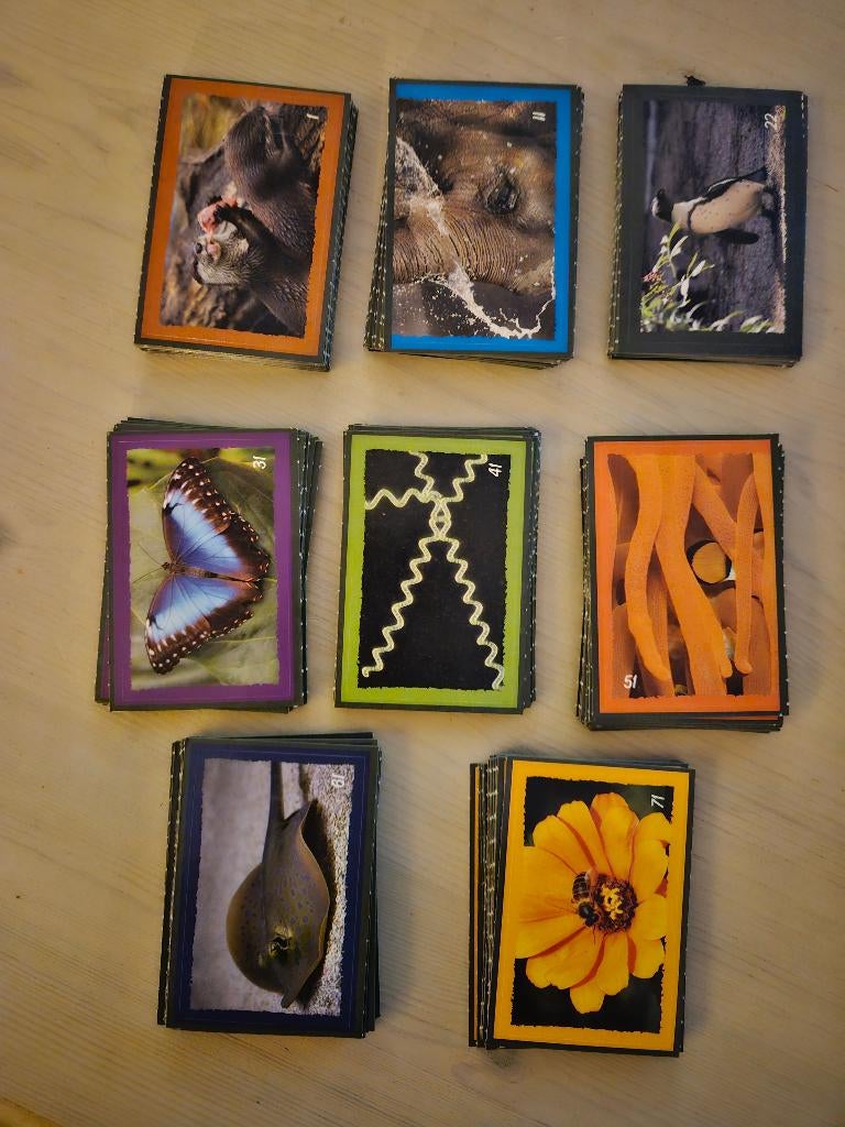 Deka Dierenstickers Artis & 3 spaarzegels, Dekamarkt, Ophalen