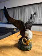 Zeearend, Ophalen, Zo goed als nieuw, Dier