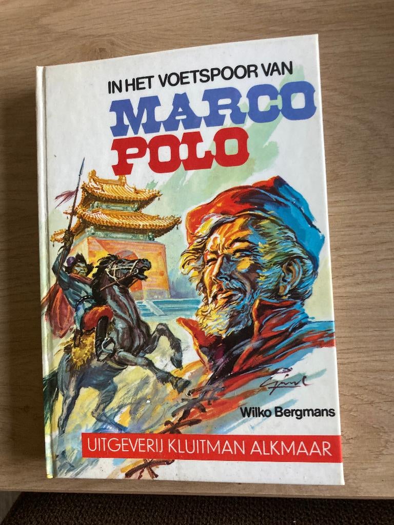 Boek Wilko Bergmans, Boeken, Ophalen of Verzenden, Gelezen, Fictie algemeen