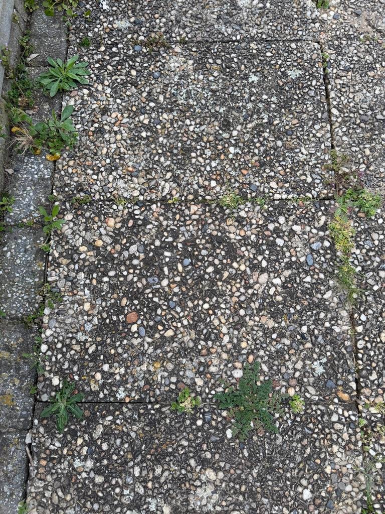 Gebruikte terrastegels met grindstructuur, Ophalen, Gebruikt, 10 m² of meer, Beton