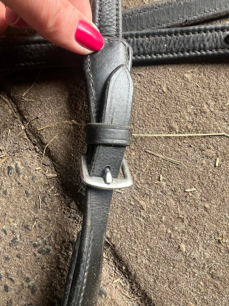 PresTeq Teugel FayRein met clip!, Dieren en Toebehoren, Ophalen of Verzenden