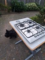 Kookplaat op gas propaan voor de camping., Ophalen