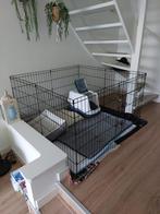 Puppyren in goede staat, Dieren en Toebehoren, Ophalen, Zo goed als nieuw