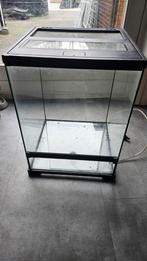 Exo Terra paladarium / terrarium 45x45x60cm, Dieren en Toebehoren, Ophalen, Zo goed als nieuw, Terrarium of Paludarium
