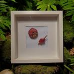 Lijst met gekristalliseerde schelp en zee egel, Ophalen of Verzenden, Hout, Minder dan 50 cm, Minder dan 50 cm