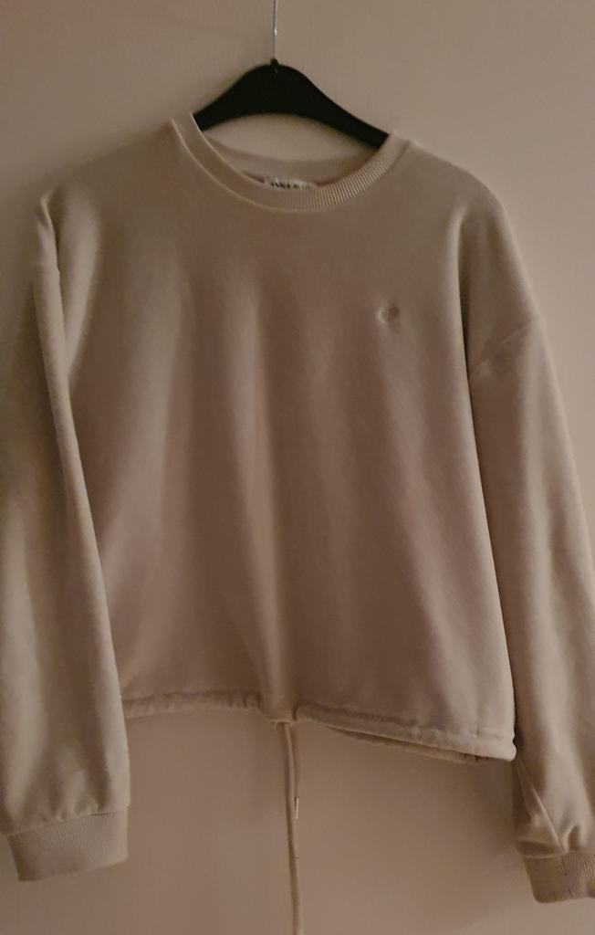 Sweater Anna Blue  maat M  ecru, Ophalen of Verzenden, Zo goed als nieuw, Maat 38/40 (M), Blauw